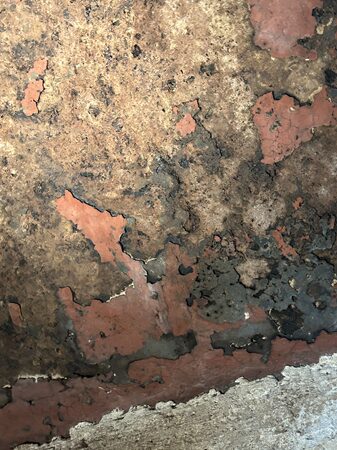 オクラ・ロッサ