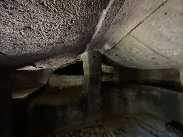 ドームス・デ・ヤーナス ドムス・デ・ジャナス