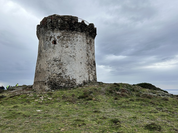 Torre Falcone