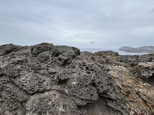 Capo Falcone Stintino 雲母片岩