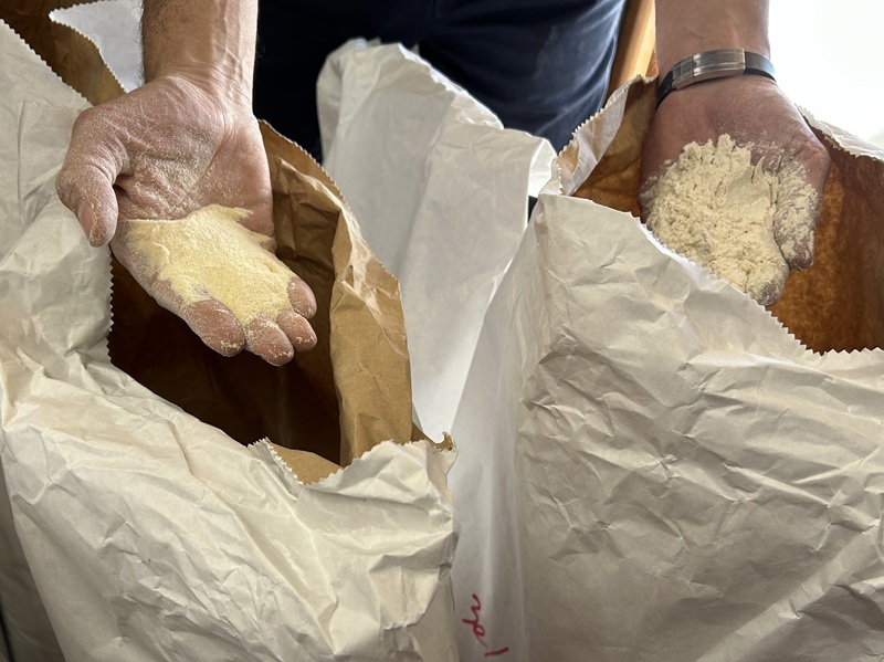 イタリア・サルデーニャ産小麦