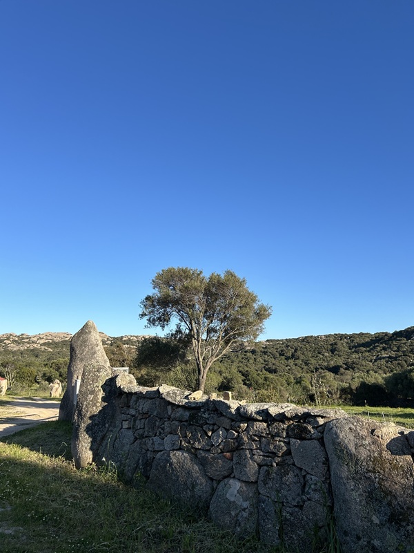 サルデーニャ・ガッルーラ地方の田舎