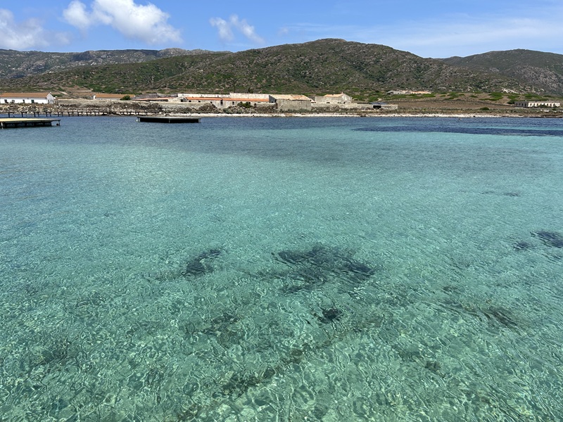 アジナーラ島ビーチ